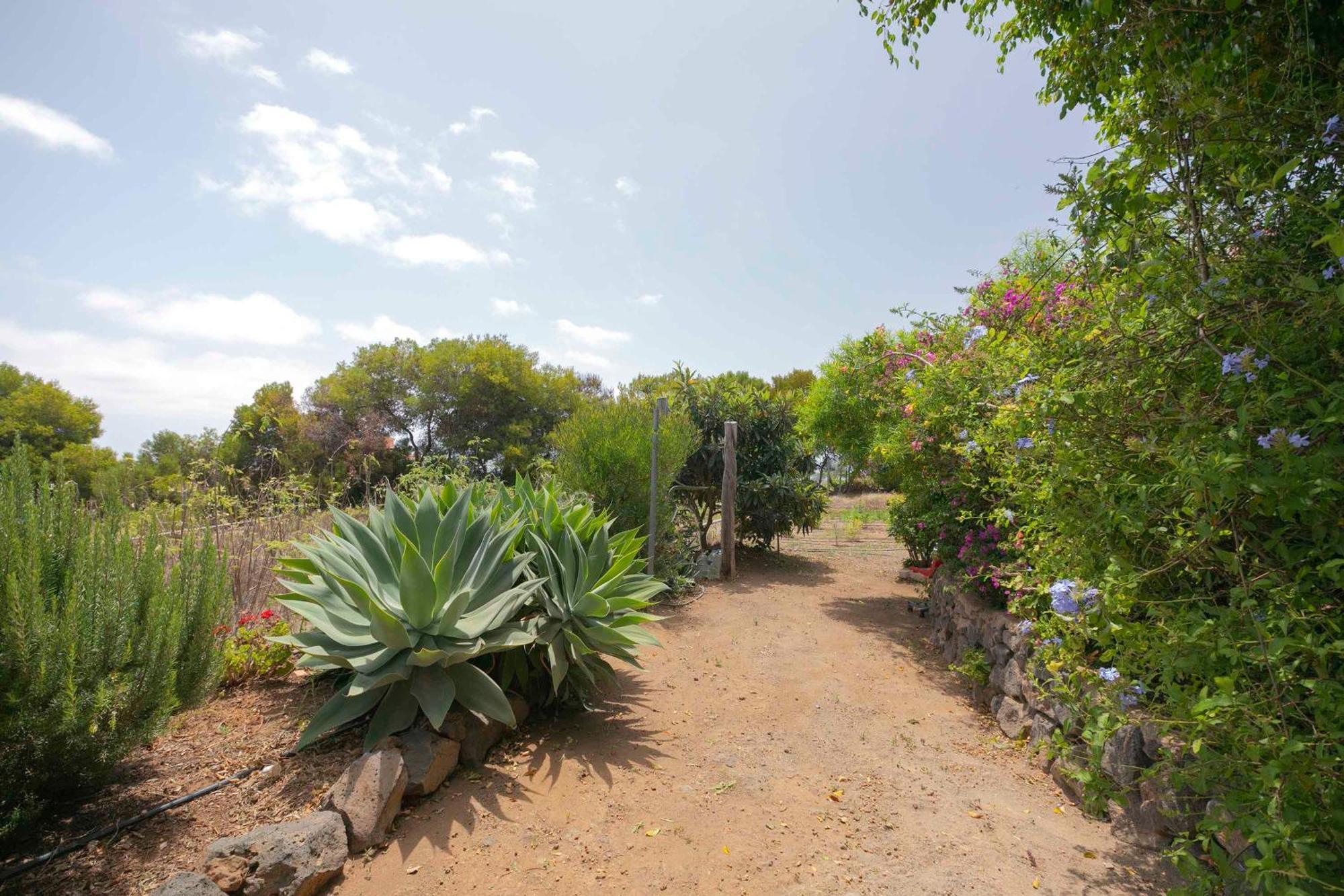 Casa Wayra Villa Granadilla De Abona Buitenkant foto